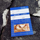 懷舊打卡散水餅 - Gift Macau