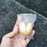 散水幸運曲奇2粒裝 fortune cookie - Gift Macau